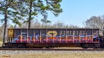 NSSX 501